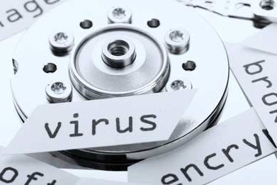 Tampa Virus removal and fix